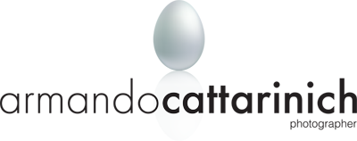 logo_cattarinich